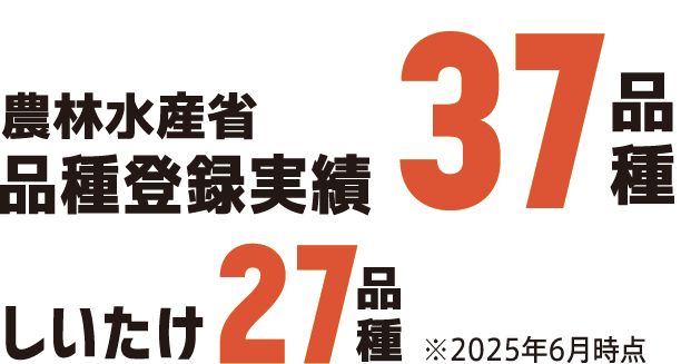 農林水産省品種登録実績37品種 しいたけ27品種※2025年6月時点