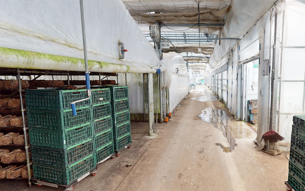 Virtual tour of Shiitake factory (Factory - corridor)
