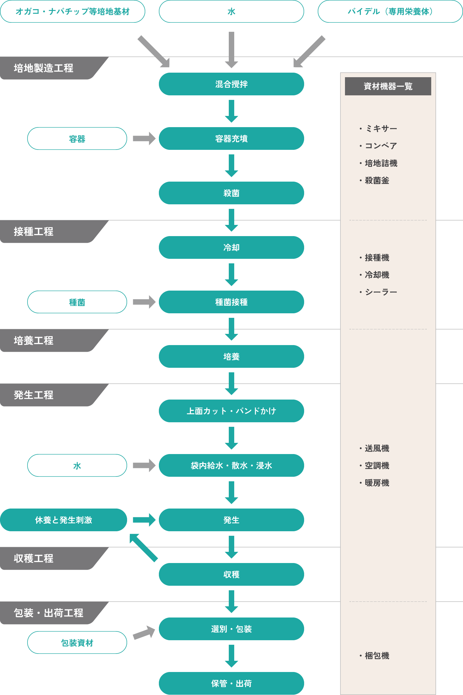 サンマッシュ栽培工程図